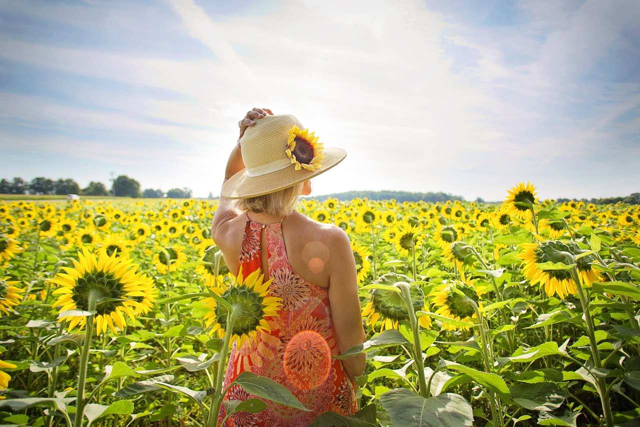 Saison-été-Summer-season