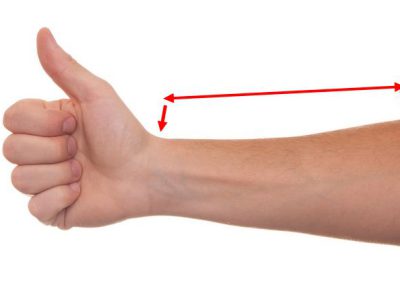 avant bras = forearm