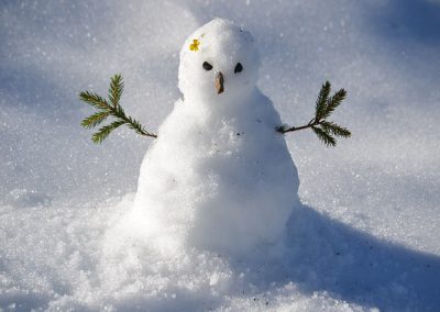 bonhomme de neige = snowman