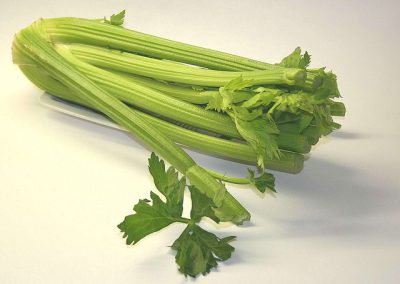 celeri = celery