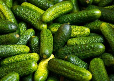 cornichon = pickle