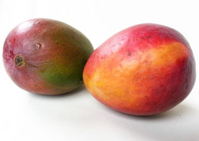 mangue = mango