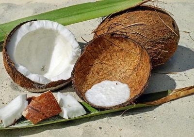 noix de coco = coconut
