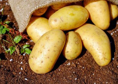 pomme de terre = potatoes