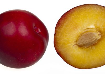 prune = plum
